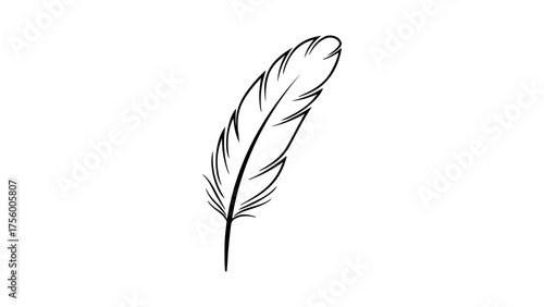 Single feather with transparent background