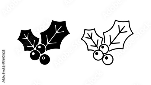 Holly branch with berries with transparent background