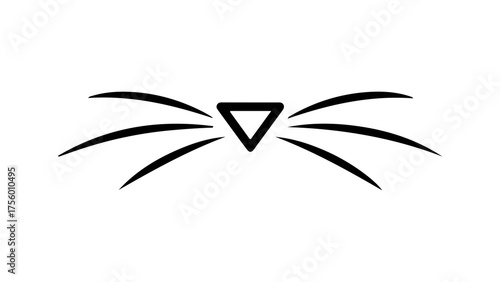 Cat whiskers with transparent background