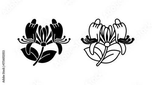 Honeysuckle flowers outline with transparent background