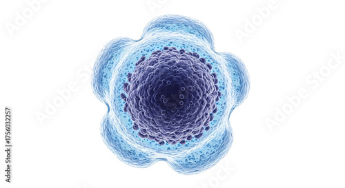 A detailed 3D rendering of a single white blood cell (lymphocyte) with a prominent nucleus, illustrating cellular structure and biology.