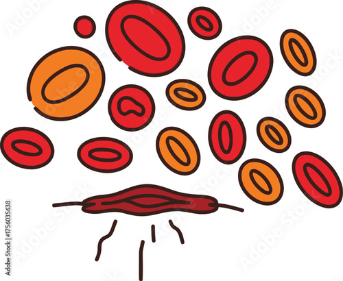 A stylized of red and orange blood cells and a vessel.