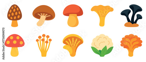 Colorful mushroom icons set featuring various edible and wild types