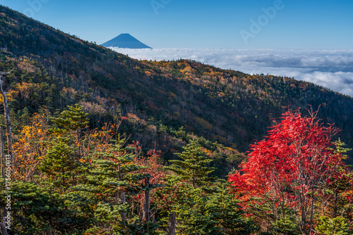 朝の奥秩父山塊前国師の紅葉と富士山