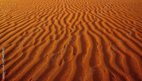 Intricate wind-shaped patterns decorate vast sandy dunes under warm sunlight, forming a captivating natural scene.