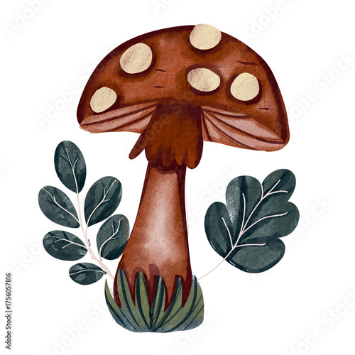 brown mushroom in forest Autumn