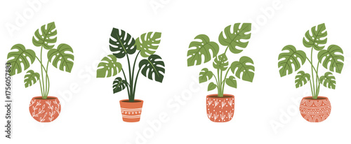 Monstera houseplant clipart set in terracotta patterned pots