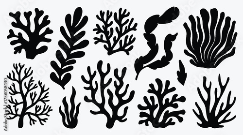 Abstract seaweed vector illustration diverse forms and silhouettes against white background