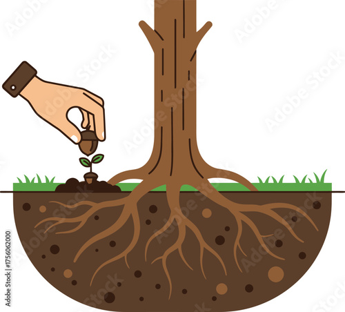 of a hand planting an acorn, new life, tree roots.