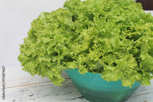 Lettuce is placed in a container filled with water to keep it fresh on a wooden table.