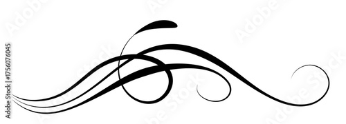 Floral ornament with leaves and abstract lines. Text divider. Decorative element for decor and text greeting or invitation card design.