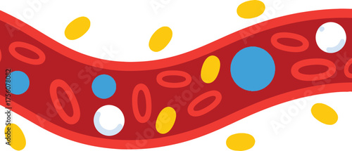 of a blood vessel with blood cells and platelets inside.