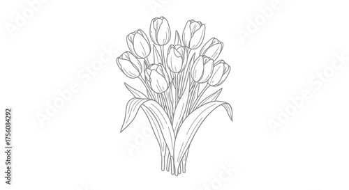 Elegant Tulip Bouquet Line Art Illustration for Coloring Books, Floral Designs, and Spring-Themed Creative Projects, suitable for use in educational materials and artistic endeavors.