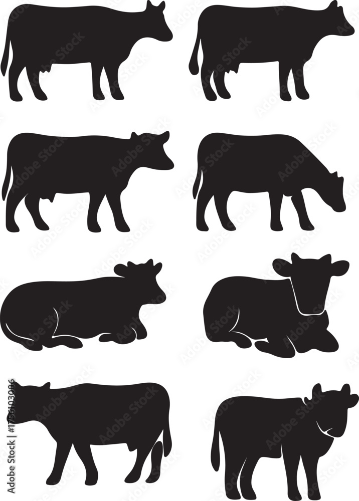 Fototapeta premium Cow different poses silhouette set – black cattle vector collection showing standing, grazing, walking cows for farm, ranch, dairy, and agriculture design projects