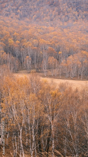 Wallpaper Mural The amazing scenery of autumn on the vast grasslands of Inner Mongolia, China Torontodigital.ca