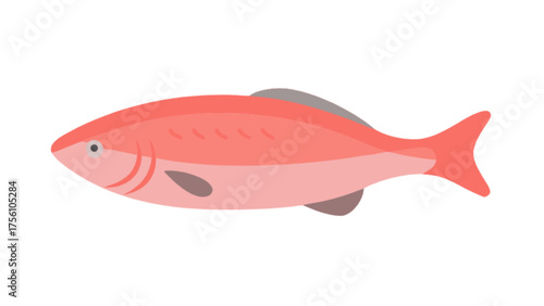 Vibrant red fish vector illustration flat graphic design element