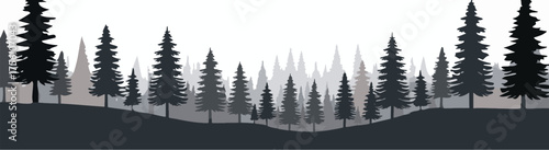 Black pine forest silhouette panoramic landscape