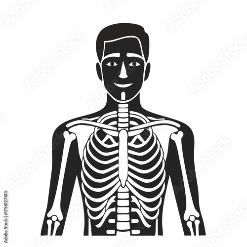 Human rib cage anatomy black and white medical illustration for design vector