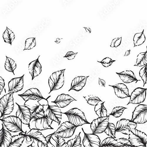 Hand drawn autumn leaves swirling in windy breeze seasonal outdoor nature vector
