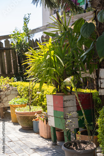 Tropical garden with flower pots with the madagascar flag painted on it