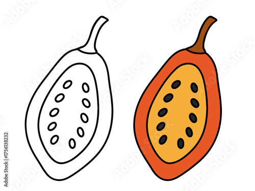 Whole tamarillo fruit with seeds shown in outline and colored style, perfect for tropical fruit, food education, or printable coloring pages.