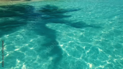 Clear water surface with shadow reflections natural aquatic environment