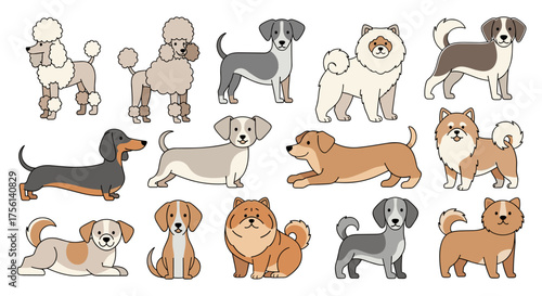 Diverse Dog Breed Illustrations in a Group Setting for Children's Books, Educational Resources, and Veterinary Practices: A Collection of Cute Cartoon Style Pets, Puppy Love, Canine Companions, Animal