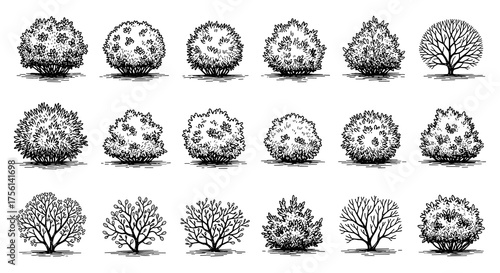 Elegant Garden Bushes Sketches for Landscape Design Illustrations: Various Shrub Shapes, Ornamental Plants for Architecture Visualization & Environmental Planning in Urban Spaces with Artistic Black a