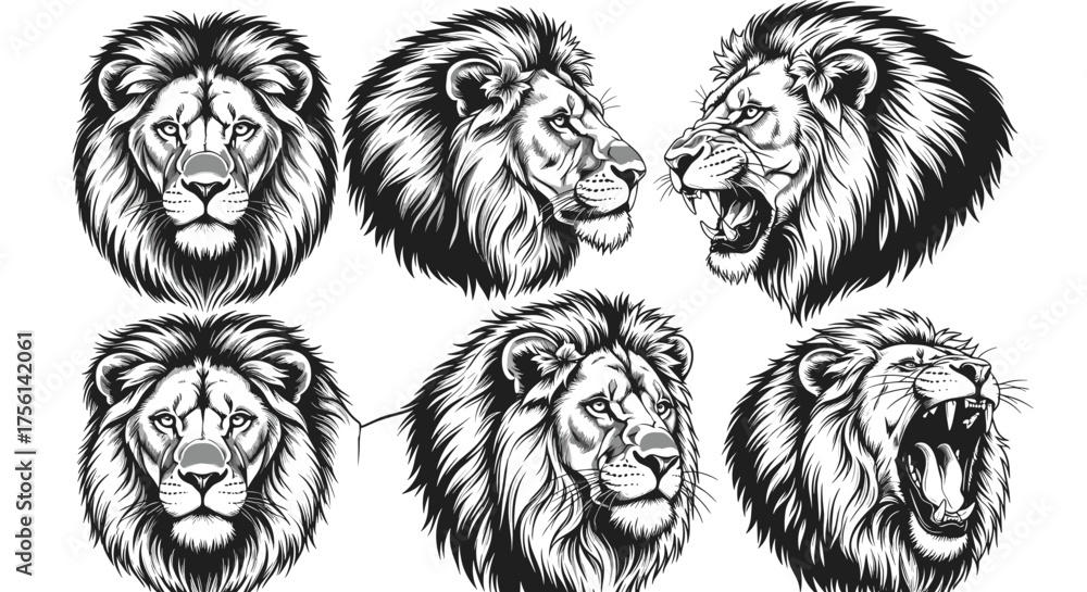 Obraz premium Majestic Lion Heads Collection: Powerful Feline Portraits in Varied Expressions for Wildlife Conservation, Graphic Design, Tattoo Art, and Brand Mascot Inspiration - Fierce, Regal, and Wild Animal Ill