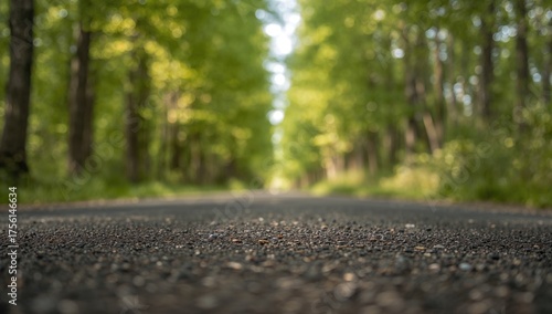 Country lane viewed from gr...