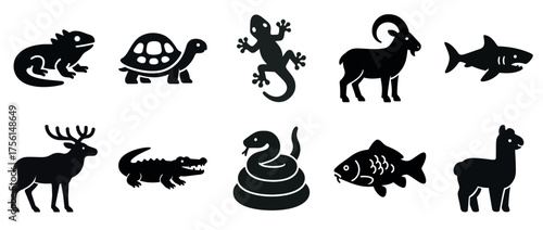 Silhouette icons of various animals including reptiles, mammals, and fish