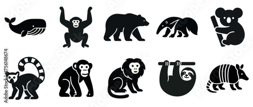 Silhouette icons of various animals: whale, monkey, bear, anteater, koala, lemur, lion, sloth, armadillo
