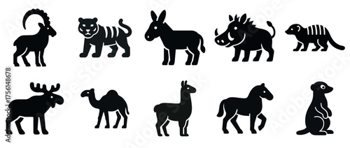 Silhouette illustrations of diverse animals in a unique style