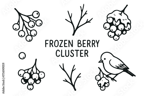 Black outline icons of frozen berry clusters, branches, and a bird, emphasizing simplicity and winter elements.