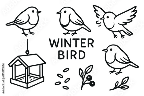 Black outline drawings of winter birds and a hanging bird feeder, accompanied by berries and seeds, set around the text "winter bird.