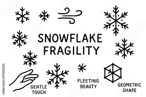 Black and white illustration featuring various snowflakes, a gentle hand, and text emphasizing the fragility and geometric beauty of snowflakes.