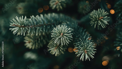 Close-up of a soft, fluffy ...