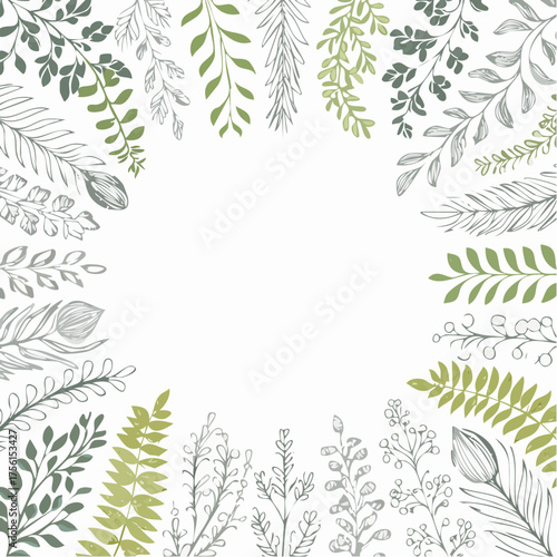 Botanical Frame with Delicate Greenery and Sketchy Elements.