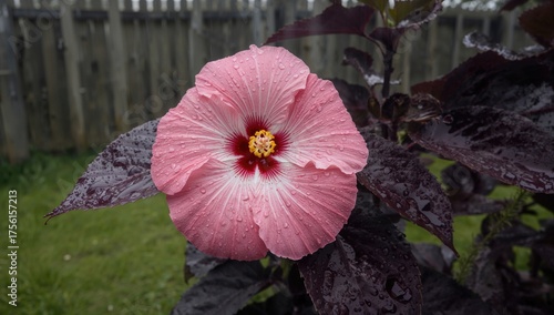 Detailed view of a vibrant ...