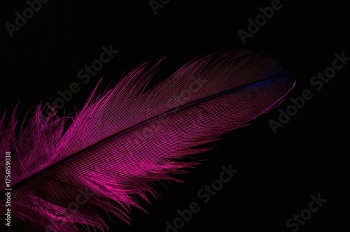 Detailed view of a bird's f...
