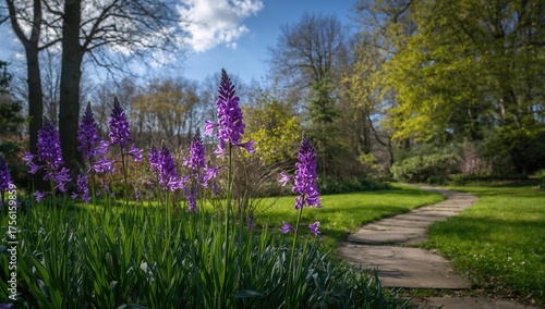 Vibrant violet blossoms flo...