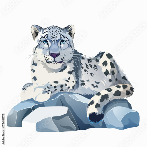 Schneeleopard auf Felsen