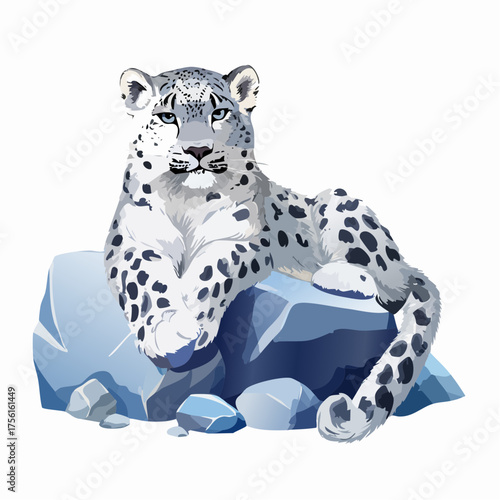 Schneeleopard auf Felsen