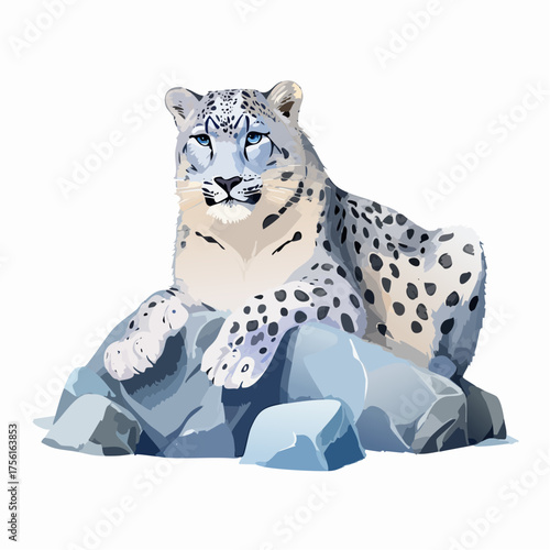 Schneeleopard auf Felsen