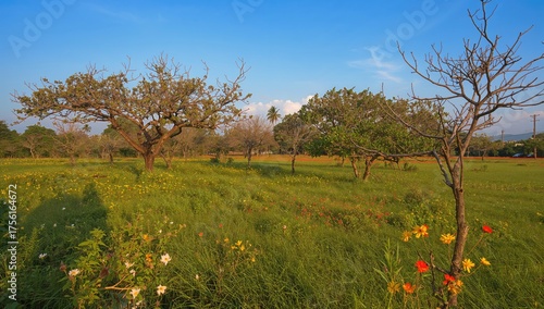Floral backdrop in a natura...