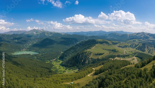 Bird's-eye panoramic perspe...