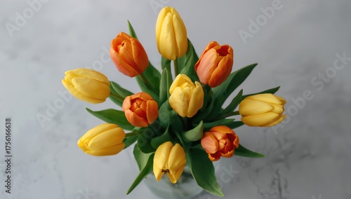 A beautiful display of tuli...