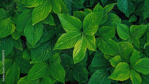 Background with green leave...