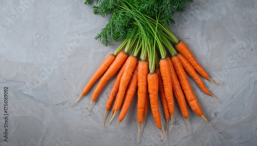 Bundle of fresh carrots on ...