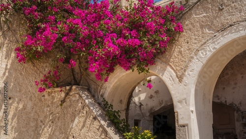A colorful bougainvillea vi...